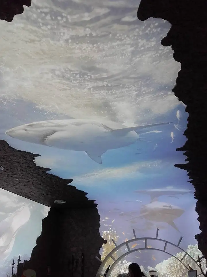 Atlantis-Caffee-Oradea-Design-Interior-Designer-Florin-Ignat-canapele-Candelabre-lampadare-Signa-Design-Solutions-Oradea-club-design-mobilier-restaurant-dotari-hotel-6